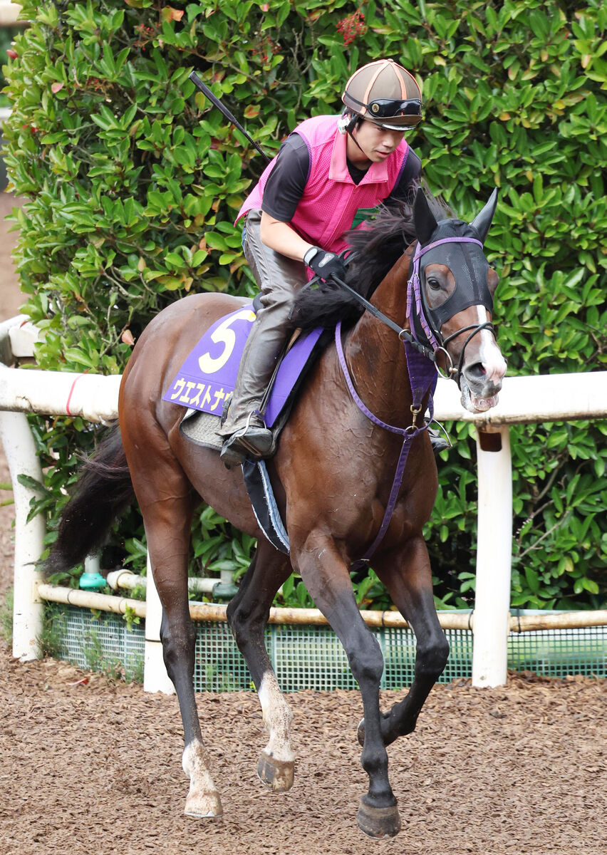 【菊花賞・戸田の特注馬】ウエストナウが狙う２つの快挙達成　１週前にＣＷコースで猛時計