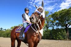 【菊花賞】父ゴールドシップと同じ舞台でＶだ　混戦模様クラシック最終戦　今年のダービー馬から主役奪う　