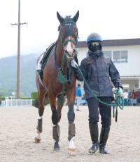 【富士Ｓ】アルナシームが重賞連勝へ　陣営「以前とは違う馬」「元気が有り余っている」