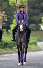 【菊花賞】菊５勝の武豊騎手と初コンビのアドマイヤテラ　友道調教師「京都の長丁場は合いそう」