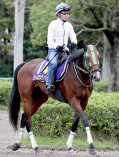 【菊花賞・角田の特注馬】超抜の動き！　ピースワンデュックで柴田善臣騎手が１０年４か月ぶりのＧ１勝利を