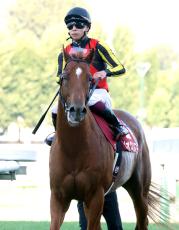 【注目馬動向】ジオグリフは横山武史騎手とコンビでブリーダーズＣマイルへ　札幌記念２着から引き続き