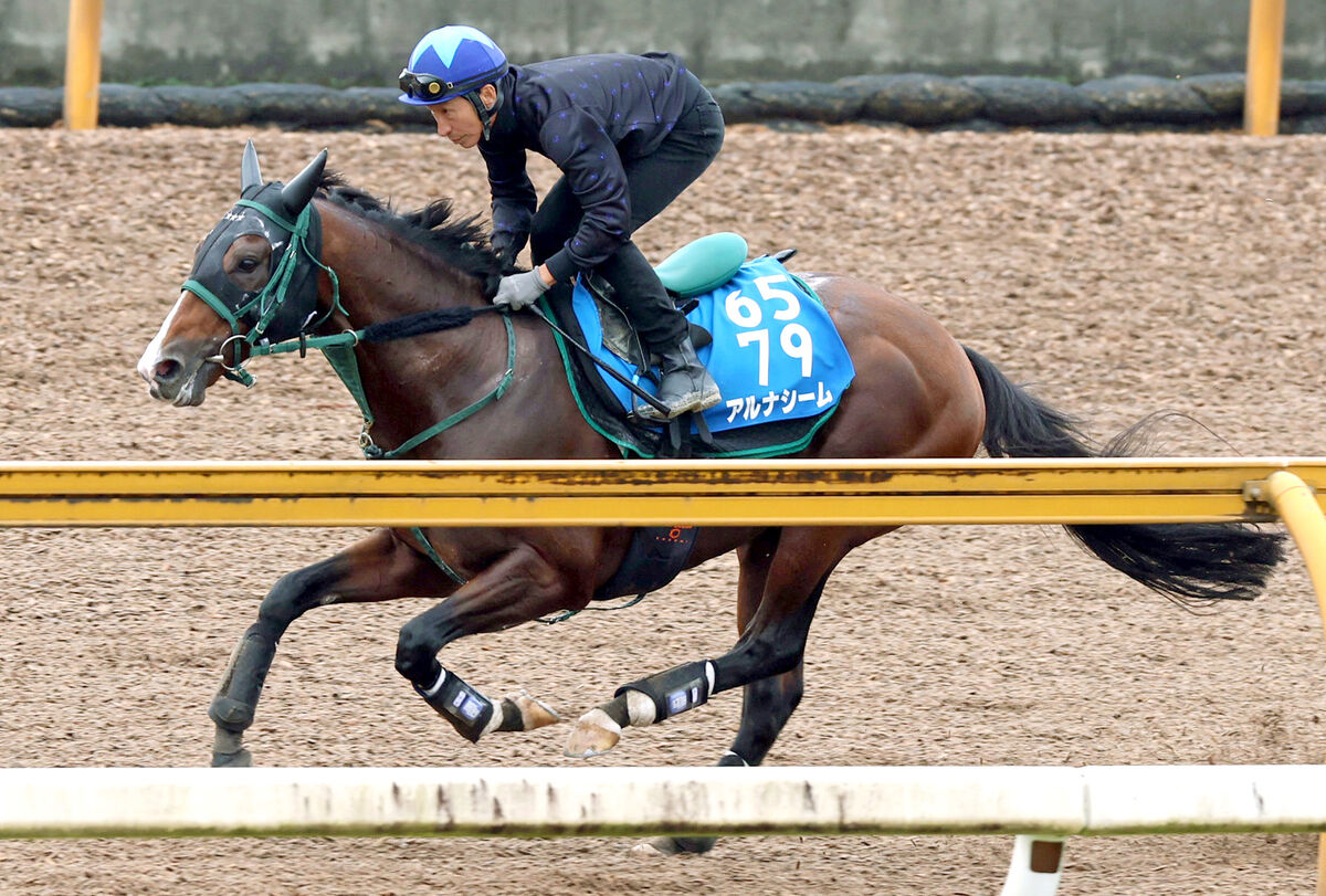 【富士Ｓ】重賞連勝狙うアルナシームは軽快な伸び　橋口調教師「鞍上にも従順になりました」