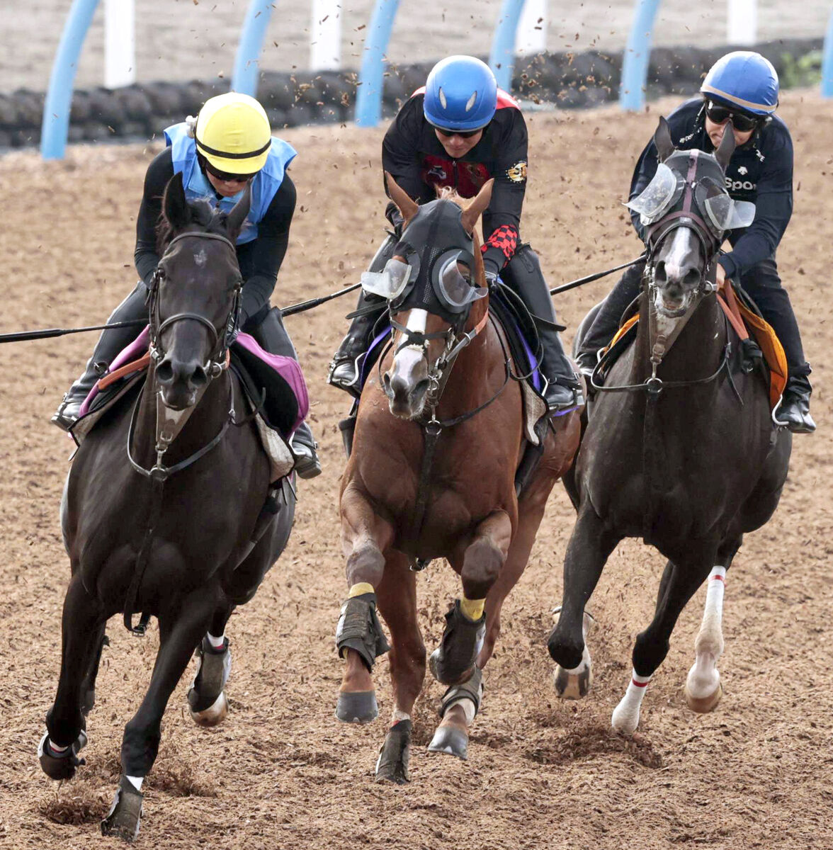 【菊花賞】アーバンシックは状態上向き　武井調教師「精神的にも大人になっている」