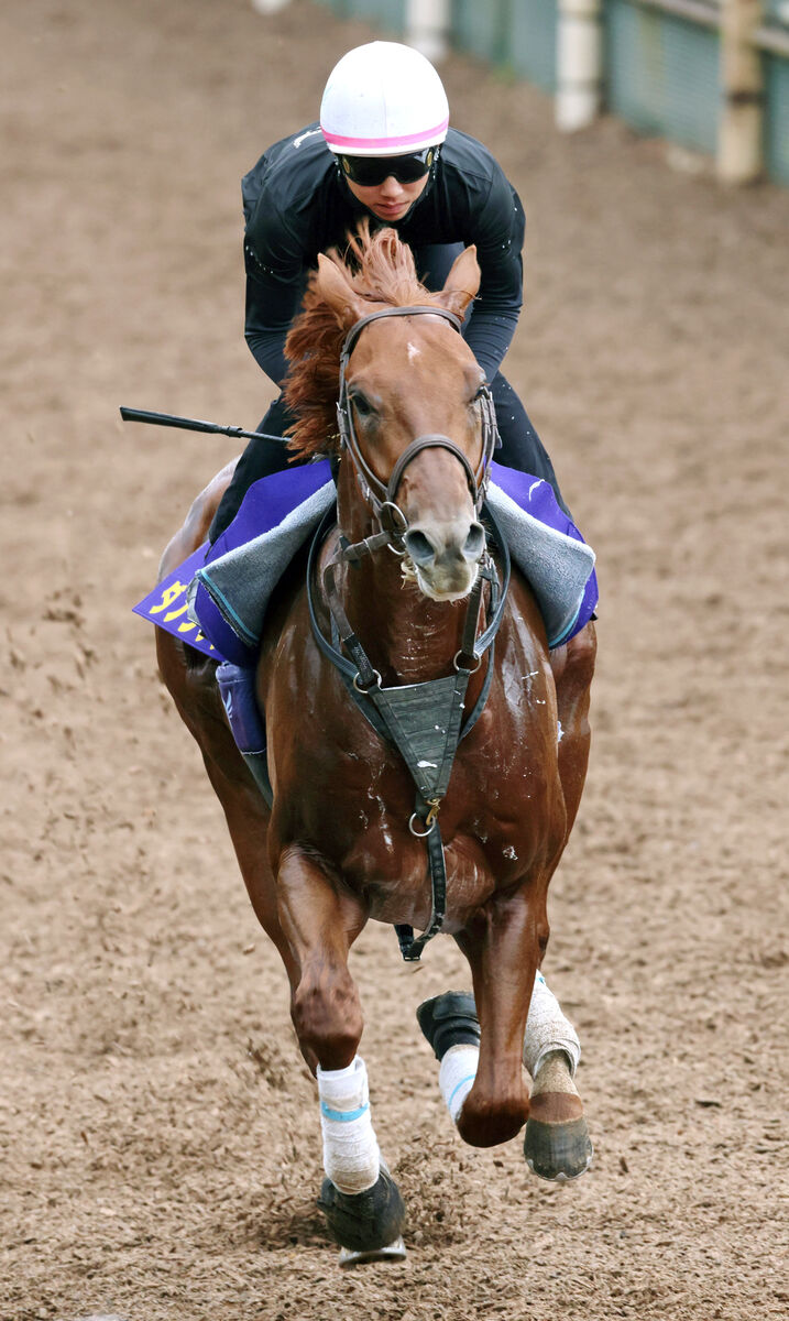 【菊花賞】ダービー馬ダノンデサイルは菊直行も問題なし　横山典弘騎手「底力に期待」