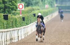 【菊花賞】ダービー馬に不安なし　大一番へ直行も坂路で堂々の走り　２冠へ横山典弘騎手「絶対値が違う」