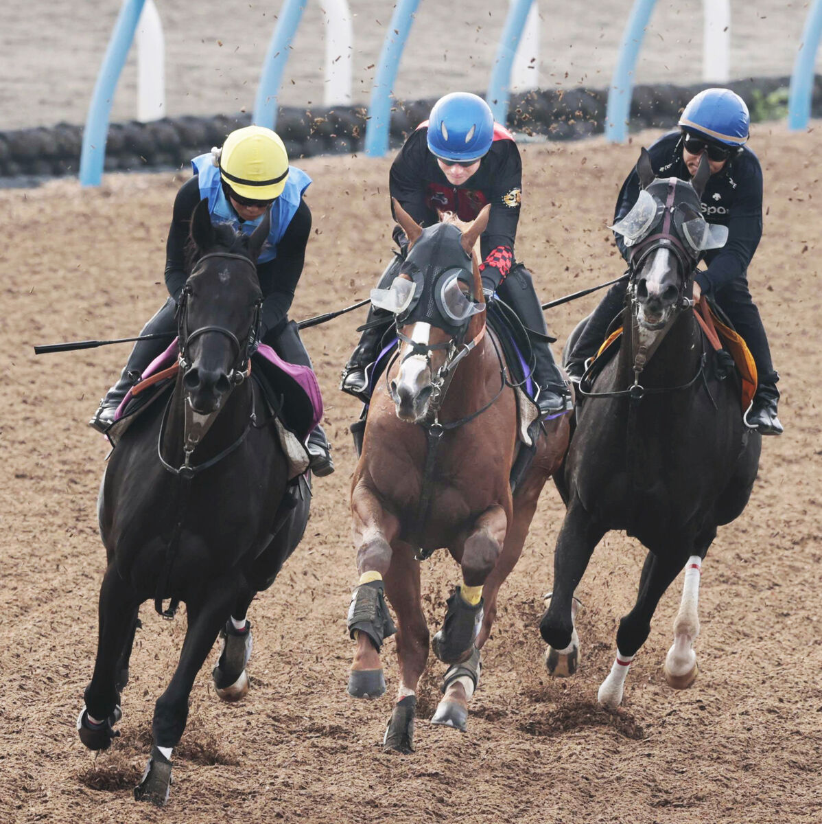 【菊花賞】障害の名手がセントライト記念優勝馬を絶妙の仕上げ「Ｇ１へ向けていい負荷をかけられた」