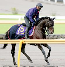 【菊花賞】ヘデントールは外の８枠１６番　８７年以降勝利なしも陣営「そこまで気にしなくていい」枠順確定