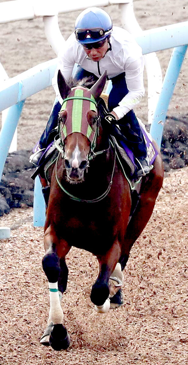 【菊花賞】３連勝中の上がり馬は最内１番から一発狙う　大竹正博調教師「あまり作戦を考えなくていい枠」