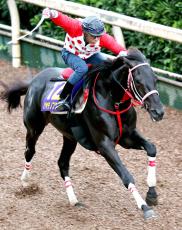 【菊花賞】ハヤテノフクノスケが青森産馬４８年ぶり制覇へ　ワールドファーム・村上薫さん「青森の馬産が再び盛り上がれば」