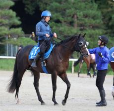 【富士Ｓ】安田記念３着のソウルラッシュは６枠１１番　２年ぶりＶ狙うセリフォスは４枠７番