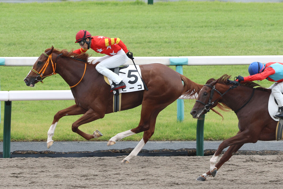 【京都４Ｒ・２歳新馬】１４番人気ビーコが逃げ切り単勝万馬券＆３連単２３８万円超　長岡禎仁騎手「粘り強くいい競馬」