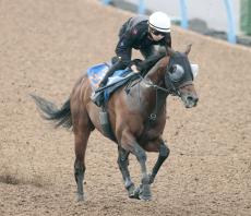 土曜東京競馬場の注目激走馬…東京１１Ｒ富士ステークス・Ｇ２