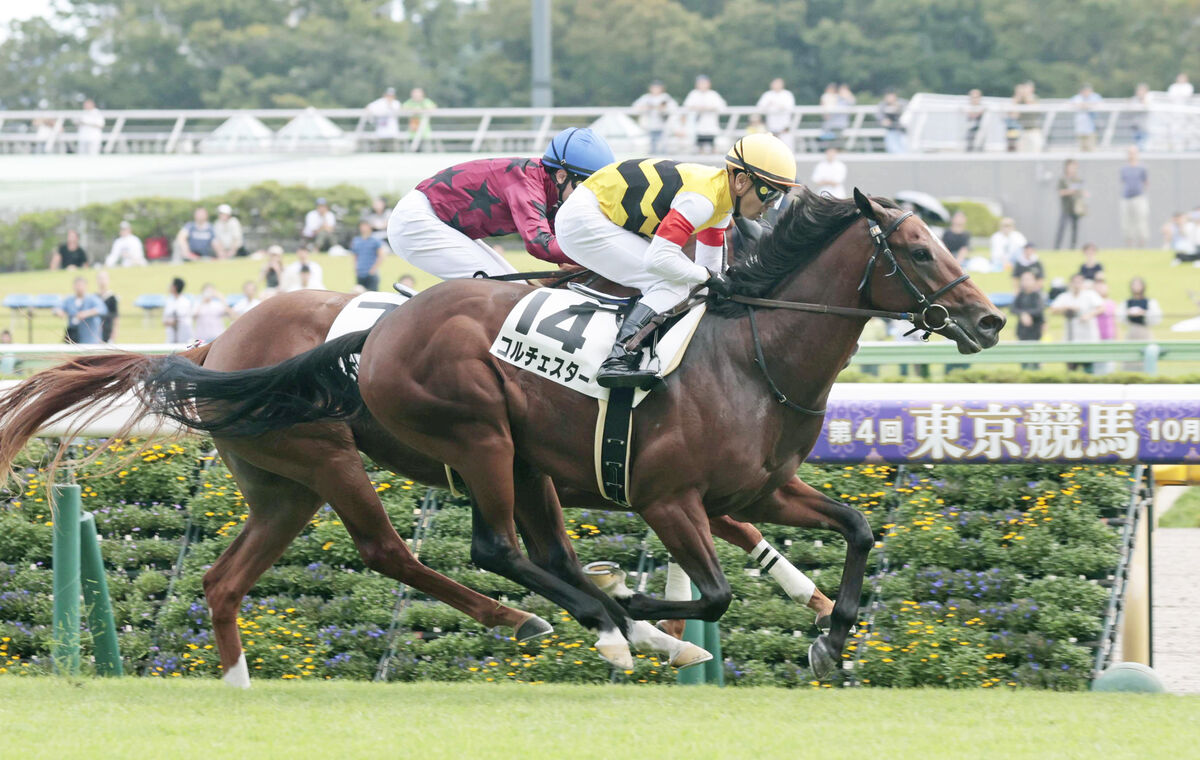 【東京６Ｒ・２歳新馬】コルチェスターが差し切り勝ち　戸崎圭太騎手「行儀のいい馬で組み立てがしやすかった」