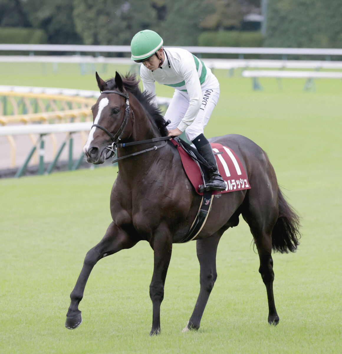 【富士Ｓ】１番人気ソウルラッシュは１馬身差２着　「鈍さが」団野大成騎手は久々の影響指摘