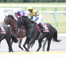 【富士Ｓ】伏兵ロジリオンしぶとく３着　北村宏司騎手「よく食い下がってくれた」