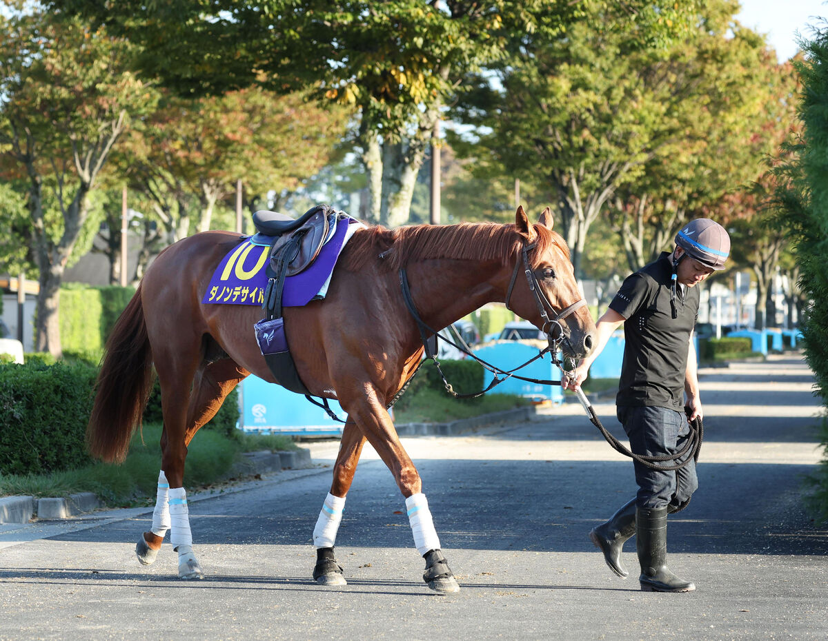 【菊花賞】ダービー馬の２冠に待った！？　名手騎乗のトライアル勝ち馬が肉薄し前日最終オッズは２強ムード