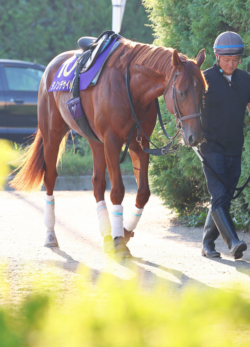 【菊花賞】森泰斗騎手はダービー馬の２冠制覇に期待　馬体にバネと品がある