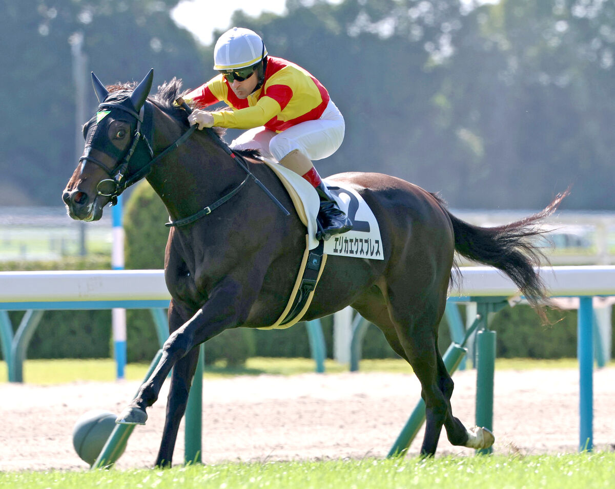 【京都４Ｒ・２歳新馬】エリカエクスプレスが逃げ切る　近親に愛ダービー馬　ルメール騎手「まだ子供っぽい」