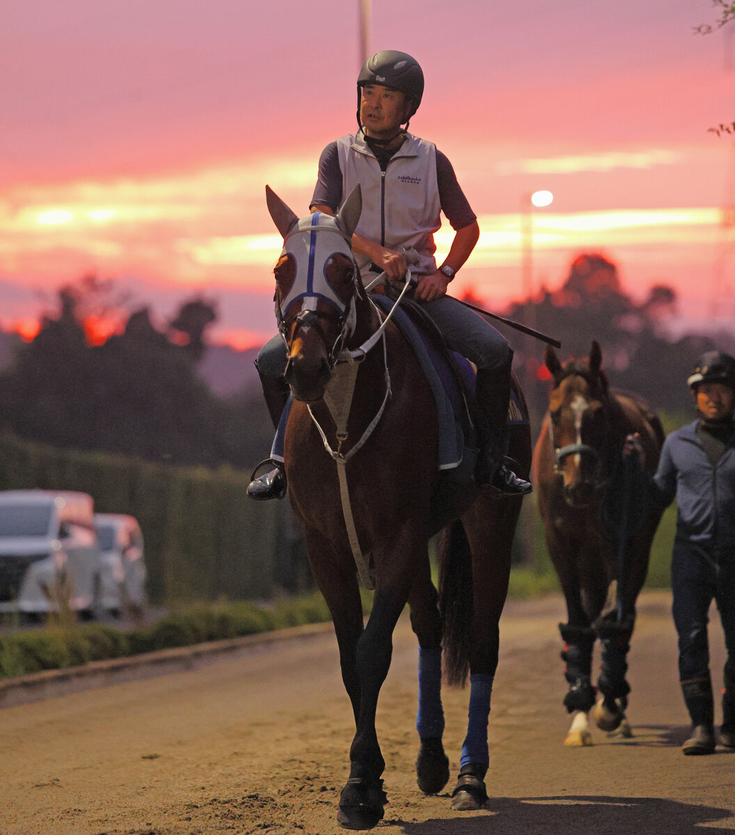 日曜京都競馬場の注目激走馬…京都１１Ｒ菊花賞・Ｇ１