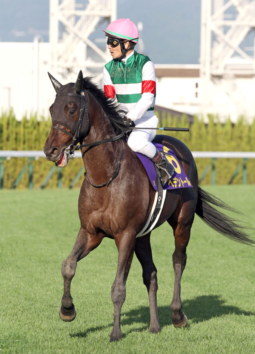 【菊花賞】最後に伸びてハナ差２着のヘデントール　戸崎圭太騎手「勝ち切れなかったことだけですかね」