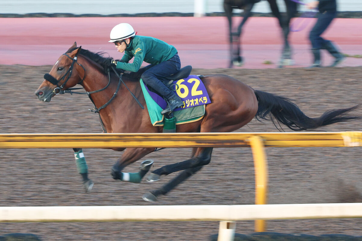 【天皇賞・秋】ベラジオオペラは「天敵」の暑さを乗り越えての上昇気配　陣営「下降線をたどる感じはない」