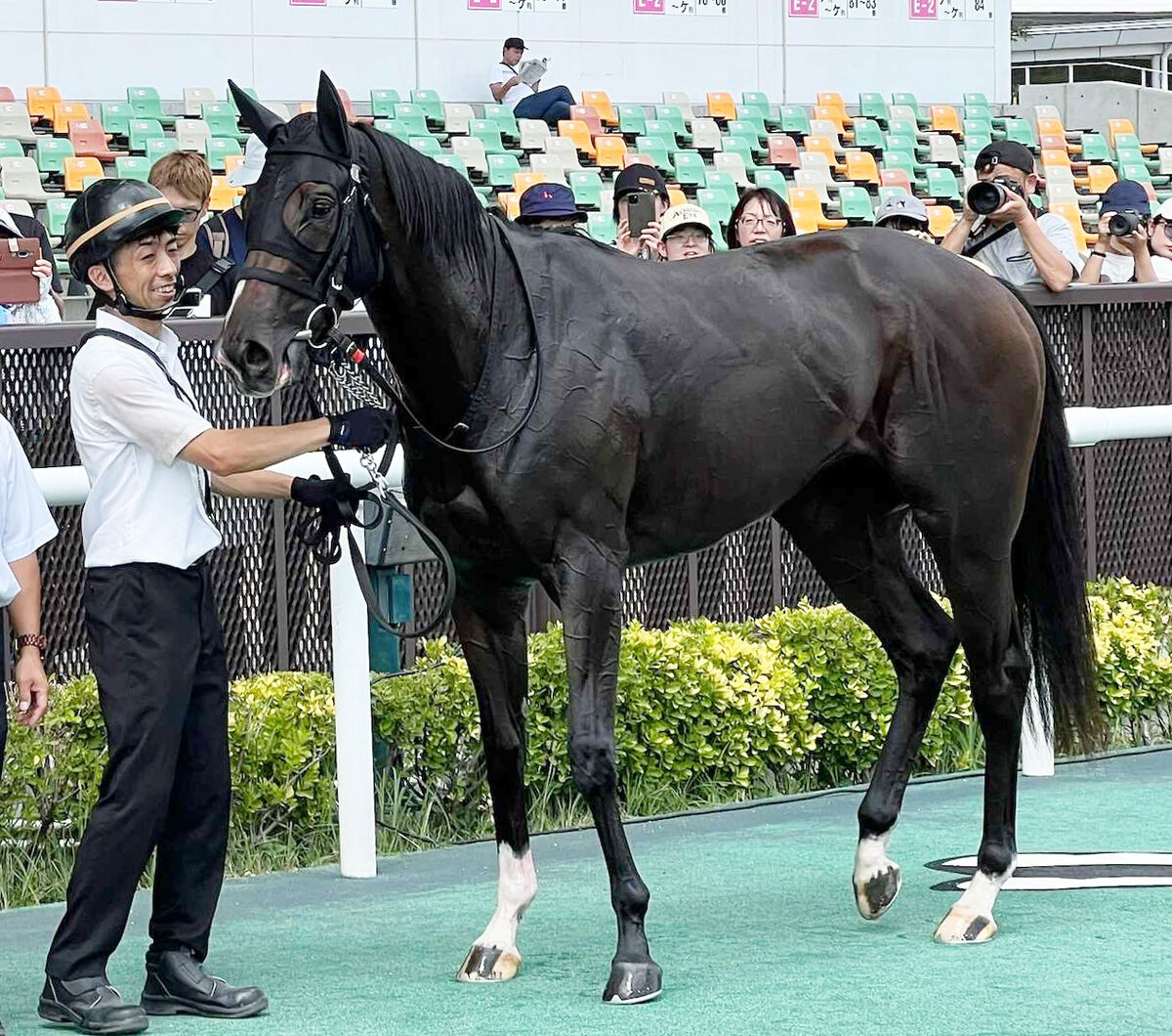 【アルテミスＳ・玉木の特注馬】新馬戦で差し返す根性を見せたザラタン　中竹調教師「１回、経験したのは大きい」