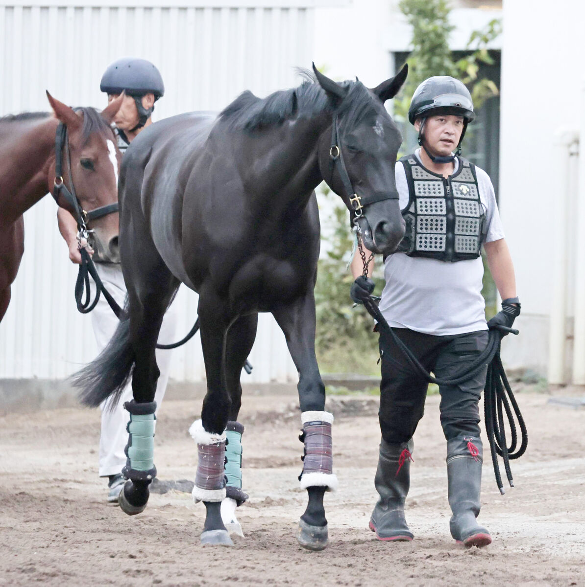 【アルテミスＳ】武井亮厩舎が菊花賞に続いて重賞連勝へ　シホリーンはアーバンシックと互角の動きを披露