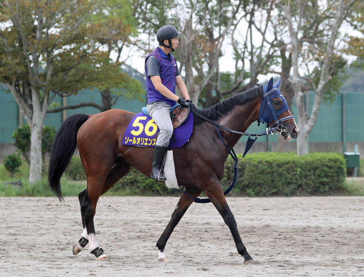 【天皇賞・秋】２３年皐月賞馬ソールオリエンスはスタイル貫く　手塚調教師「もう好位を取りに行くこともない」