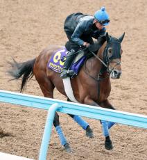 【天皇賞・秋】岩田親子✖奥村武厩舎、２頭出しで頂点目指す