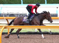 【天皇賞・秋】リバティアイランドは川田将雅騎手の騎乗ＯＫ「大丈夫です」　最終追い切りはＣＷコースで鋭伸