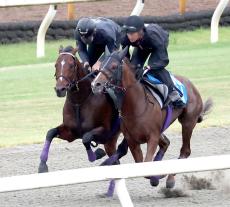 【天皇賞・秋】ドウデュースは万全を感じさせる微調整　友道調教師「記録にも記憶にも残るレースをしてほしい」