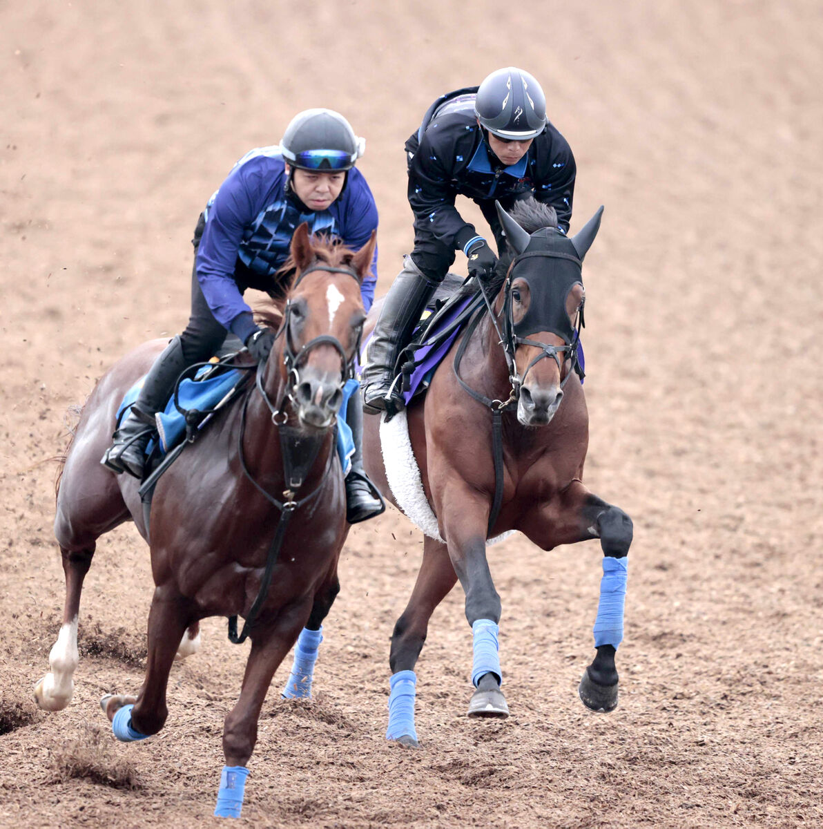 【天皇賞・秋】ホウオウビスケッツは充実一途　奥村武調教師「ここに来ての成長度合いを見ると期待してしまう」