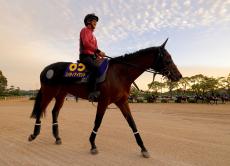 【注目馬動向】リバティアイランドが香港カップと香港ヴァーズに予備登録