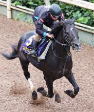 【天皇賞・秋】佐々木大輔騎手が乗るステラヴェローチェは２枠３番　 陣営「前でスムーズな競馬ができれば」