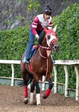 【注目馬動向】重賞３勝のバスラットレオンがＪＢＣスプリントで引退　矢作調教師「本当に思い入れの強い馬」