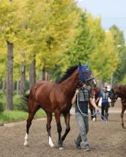 【天皇賞・秋】ソールオリエンスが調整同様に泰然自若　週末の天候に手塚調教師「雨乞いはしないよ」