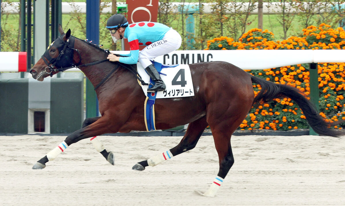 【京都４Ｒ・２歳新馬】ヴィリアリートが３馬身半差の完勝　Ｃデムーロ騎手は１年１０か月ぶりＪＲＡ勝利