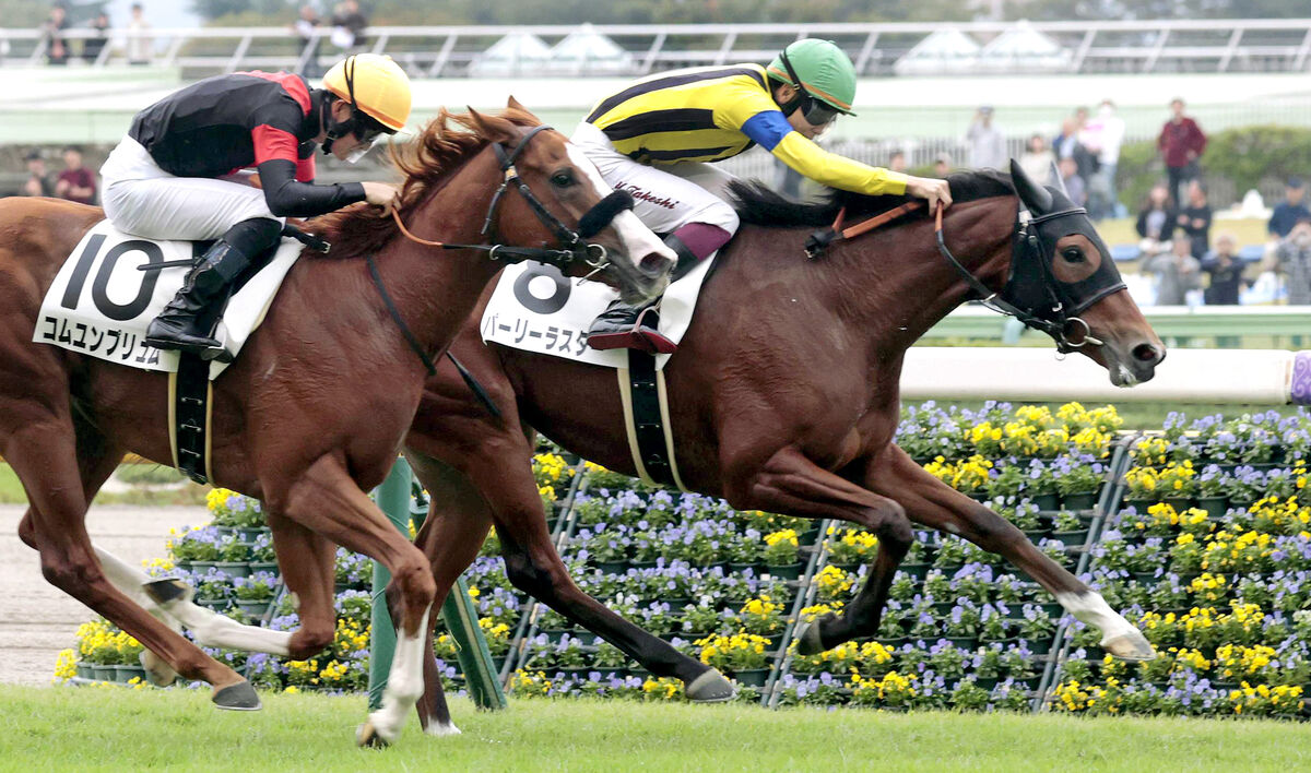 【東京５Ｒ・２歳新馬】５番人気パーリーラスターが逃げ切りＶ　１番人気アロンズロッドは４着で３連単１００万円超