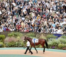 【東京５Ｒ・２歳新馬】アーモンドアイ初子のアロンズロッドは４着　ルメール騎手「これからの馬」と伸びしろに期待