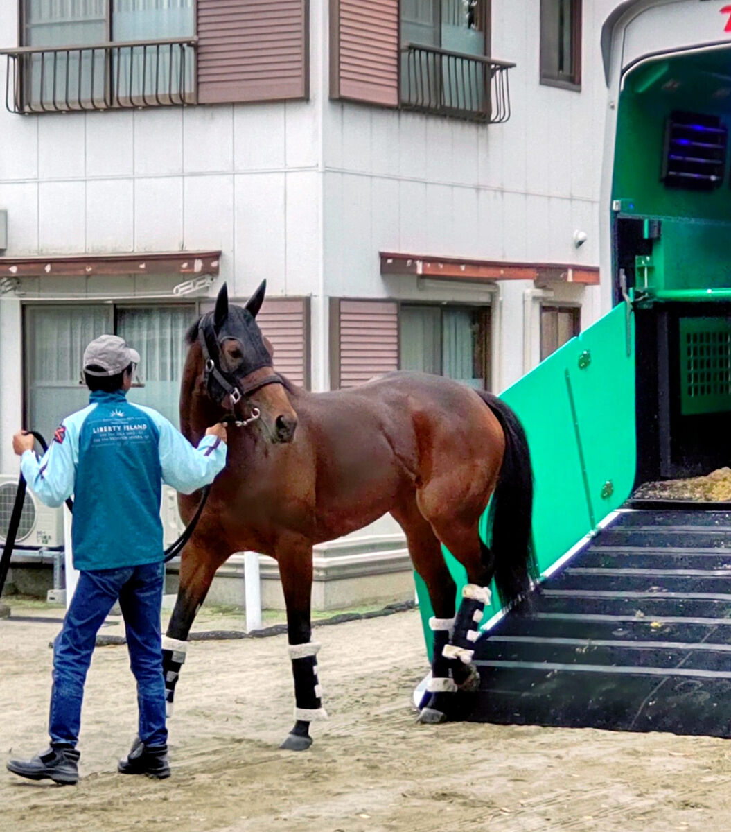 【天皇賞・秋】３冠牝馬リバティアイランドが東京到着　陣営「落ち着いて順調に着きました」