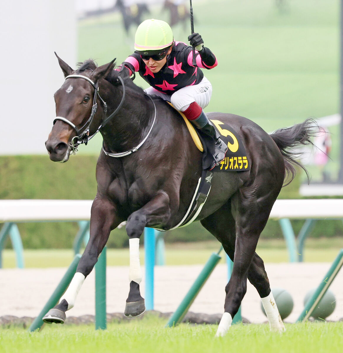 【萩Ｓ】テリオスララが鮮やか逃げ切り　鮫島克駿騎手「上手に走ってくれました」今後は阪神ＪＦ視野