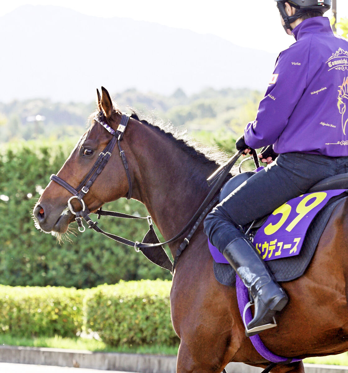 【天皇賞・秋】武豊騎手のドウデュースは張りのある好馬体で東京競馬場へ　陣営「元気一杯です」