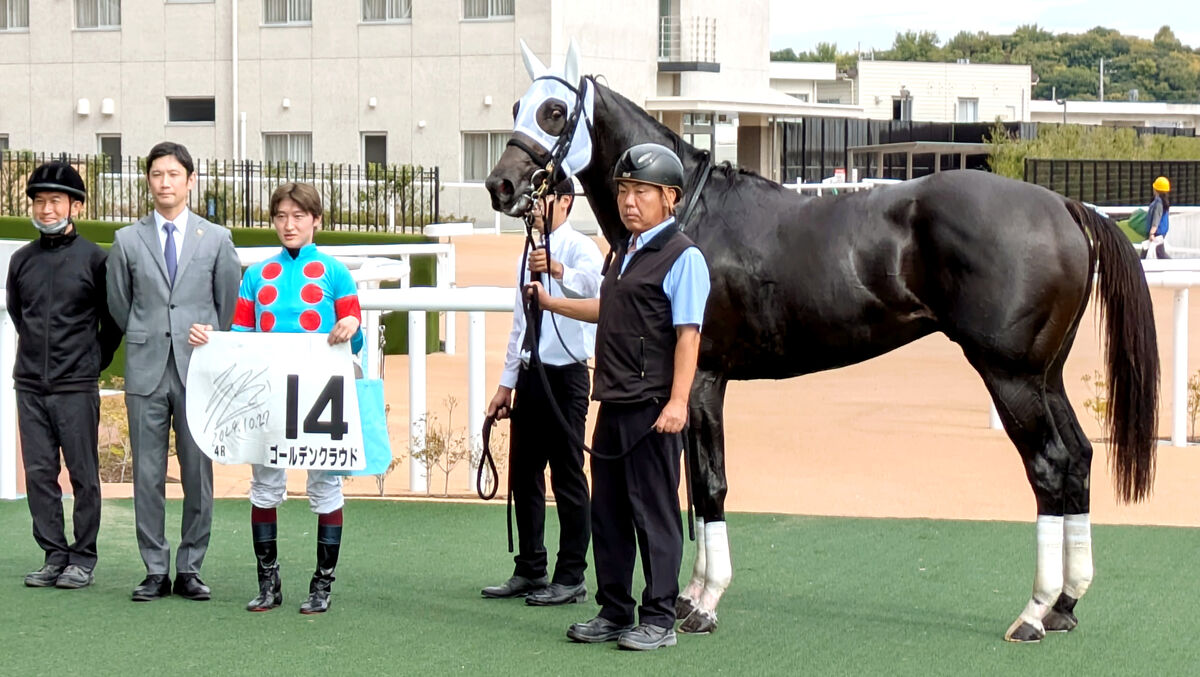 【京都４Ｒ・２歳新馬】ゴールデンクラウドがマッチレース制す　鮫島克駿騎手「今後は精神面がカギ」