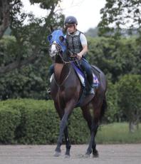 日曜メインレースの注目激走馬…東京１１Ｒ天皇賞（秋）・Ｇ１