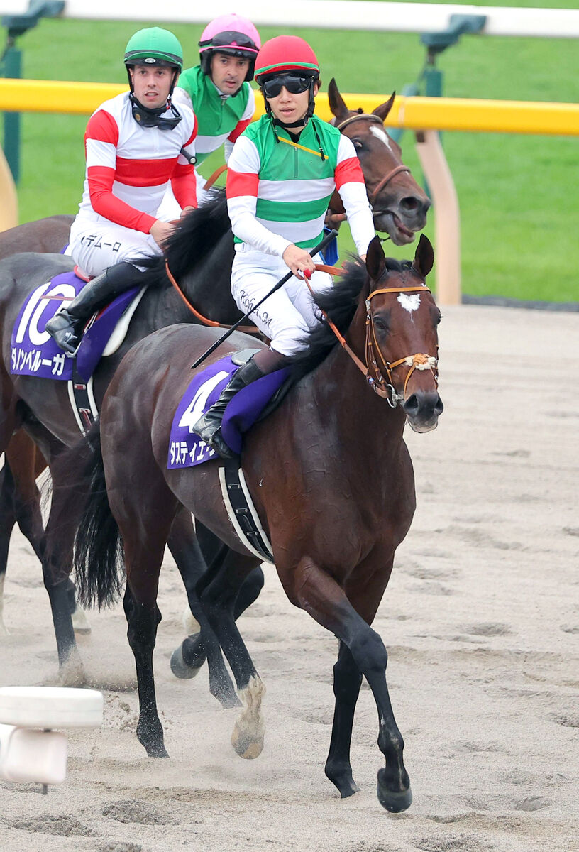 【天皇賞・秋】昨年のダービー馬タスティエーラ復活示す２着　松山弘平騎手「まだまだやれる」