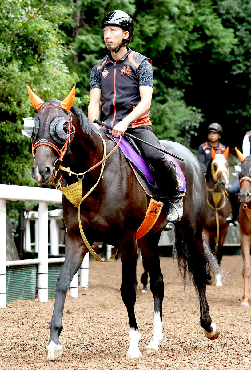 【注目馬動向】ジャンタルマンタルが香港マイルへの招待を受諾