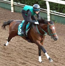 【京王杯２歳Ｓ】タワーオブロンドン産駒の重賞初Ｖ狙うパンジャタワー　橋口調教師「能力はかなり」