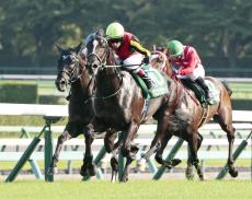 マイルで国内トップ級の実力馬が豪州５億円レース参戦　日本勢２年連続Ｖ狙う