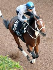 【京王杯２歳Ｓ】エイシンワンドが無傷３連勝＆重賞連勝へ躍動　幸英明騎手「パワーアップしている」